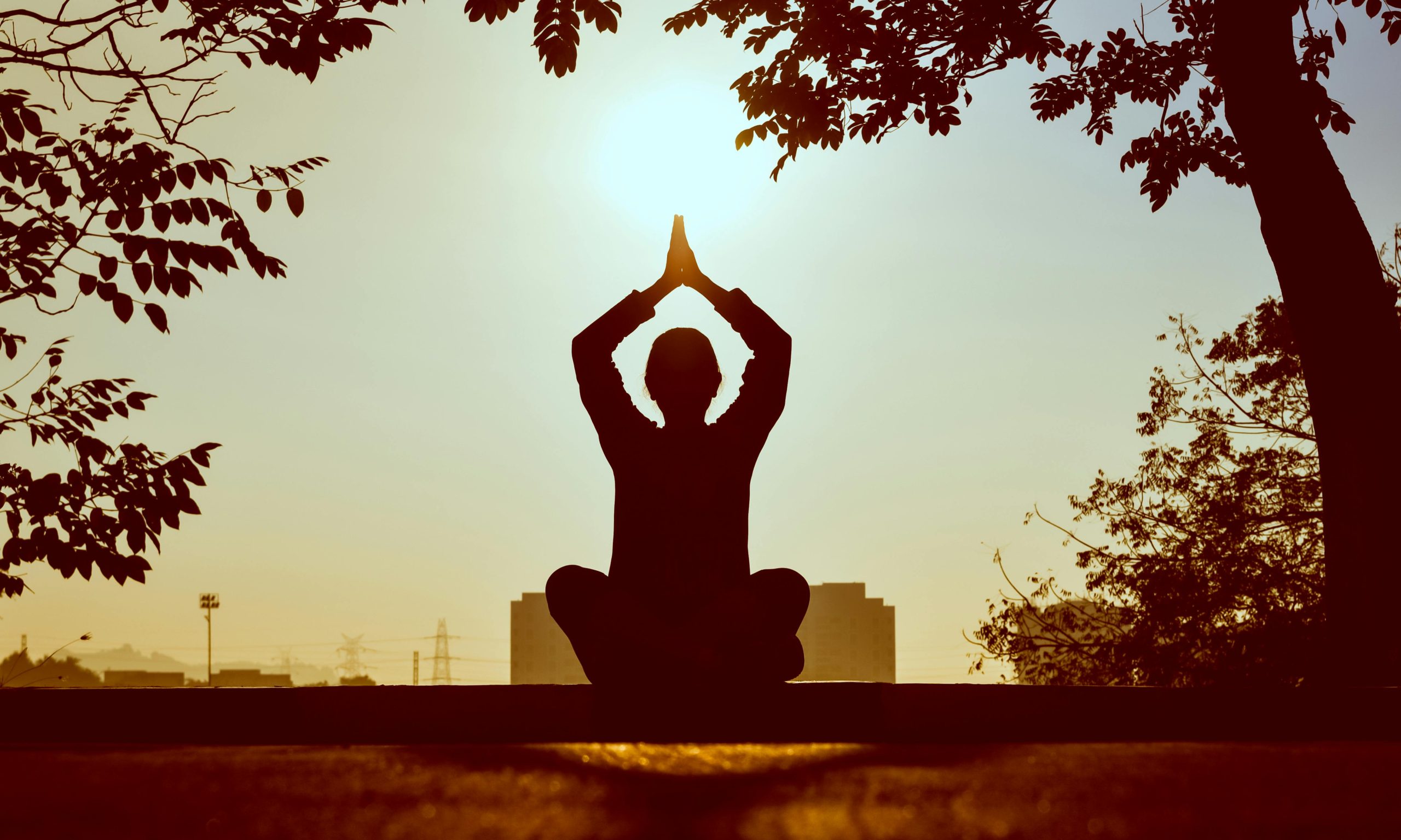 TECNICHE DI MINDFULNESS PER OVER 65 - Ritrova calma, lucidità e benessere mentale in pochi minuti al giorno - di Sirio Speri - immagine 3